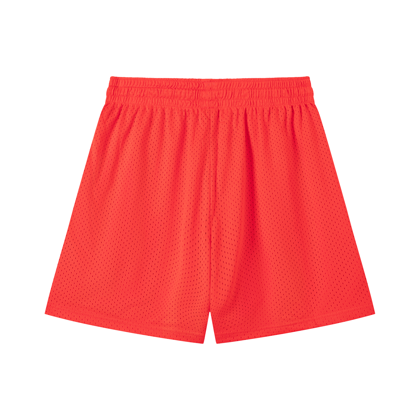 N-S Mesh Shorts
