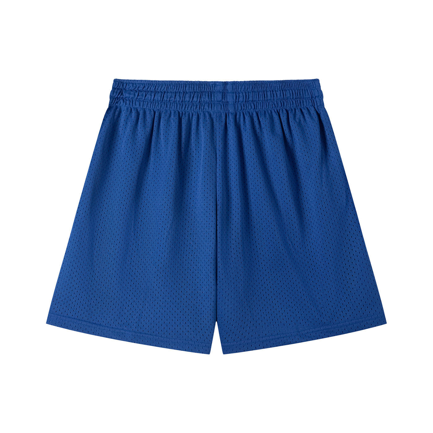 N-S Mesh Shorts